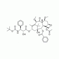 7β,10β-dimethoxy-10-deacetylbaccatin III; 7β,10β-dimethoxy-10-DAB-III