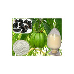 Garcinia Cambogia P.E