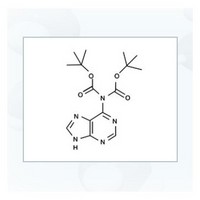 N6-Diboc adenine