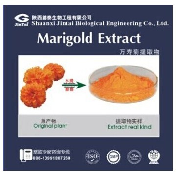 Marigold extract