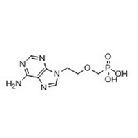 9-[2-(Phosphonomethoxy)ethyl] adenine