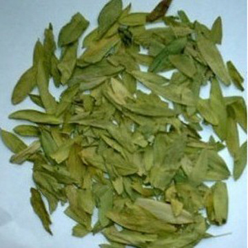  	  Cassia angustifolia, Cassia senna
