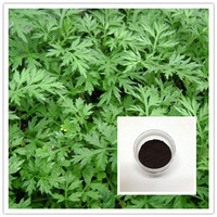 100% Natural Argy wormwood leaf extract