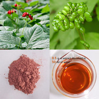 Panax Ginseng Berry (Fruit) Extract