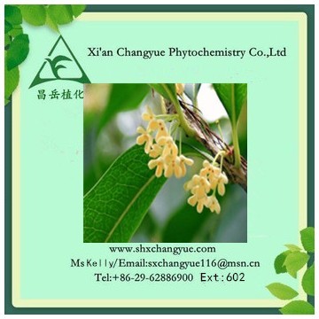 Top Quality Cinnamon Stem Extract 