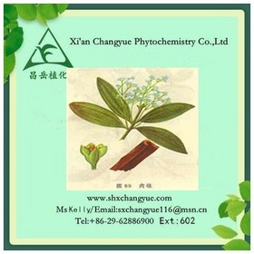 Gold supplier Cinnamon Stem Extract 