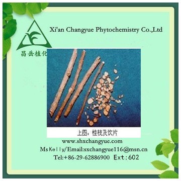 Factory Supply Cinnamon Stem Extract 