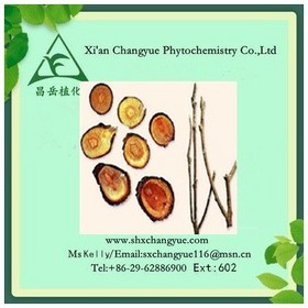 Pure Natural Cinnamon Stem Extract 