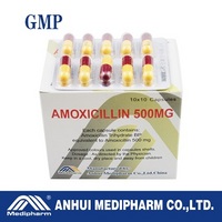 Amoxicillin Capsule 500MG