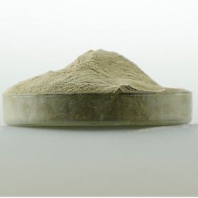 Bacitracin Zinc