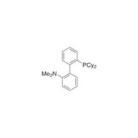 2-(Dicyclohexylphosphino)-2'-(N,N-dimethylamino)biphenyl,98%  DavePhos