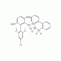 Chloro(2-dicyclohexylphosphino-3,6-dimethoxy-2',4',6'-tri-i-propyl-1,1'-biphenyl)(2'-amino-1,1'-biph