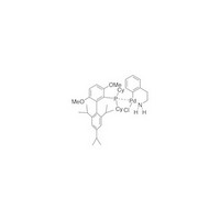 Chloro[2-(dicyclohexylphosphino)-3,6-dimethoxy-2',4',6'-tri-i-propyl-1,1'-biphenyl][2-(2-aminoethyl)