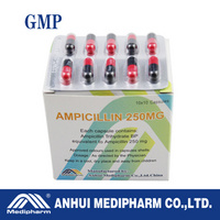 Ampicillin Capsule 250MG