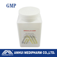 Amoxicillin Capsule 250MG