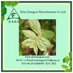 Pure Natural Garden Erphorbia Herb Extract 