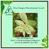 Pure Natural Garden Erphorbia Herb Extract 