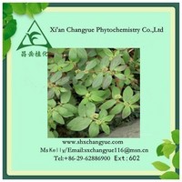 Top Quality Garden Erphorbia Herb Extract 