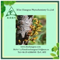 Pure Natural Chinese Taxillus Herb Extract 