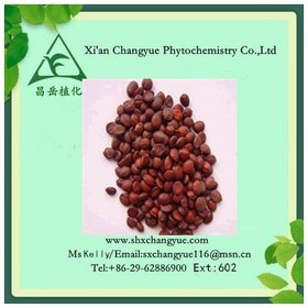 Factory supply spine date seed extract powder 