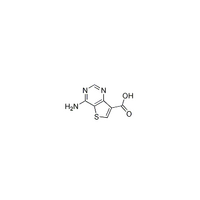4-Aminothieno[3,2-d]pyrimidine-7-carboxylic acid