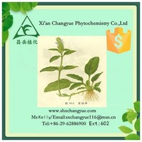 Pure natural selfheal herbs Extract 
