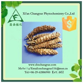 Factory supply selfheal herbs Extract 