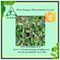 Hot selling selfheal herbs Extract 