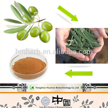 Olive Leaf Extract 60% Oleuropein