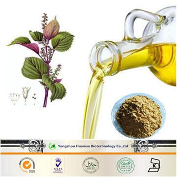 Rosemary Leaf Extract 10% Rosmarinic Acid