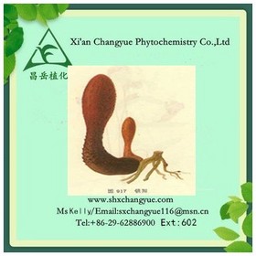 Factory Supply Songaria Cynomorium Herb Extract 