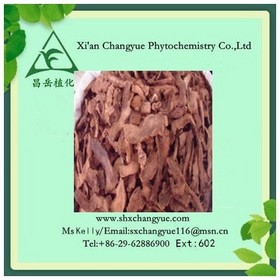 Top Quality Songaria Cynomorium Herb Extract 