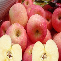 Apple Polyphenol high quality hot saling, pure , factory supply