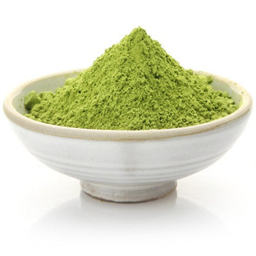 Moringa Extract