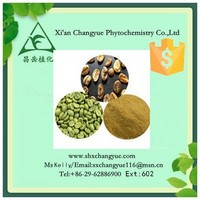 Top quality green coffee bean extract