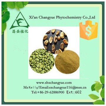 Top quality green coffee bean extract