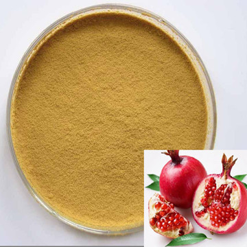   hot saling pomegranate extract