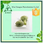 Gold Supplier Artichoke Leaf P.E. 