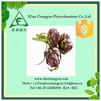 Top Quality Artichoke Leaf P.E. 