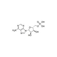 Adenosine-5’-monophosphate free acid (AMP)