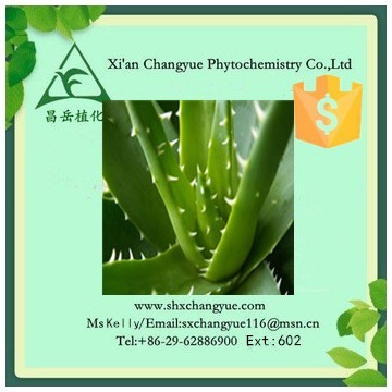 Gold supplier aloe vera extract 