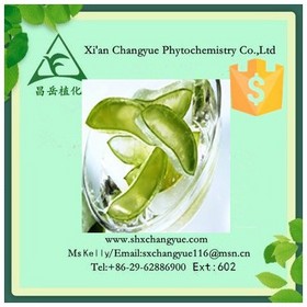 Hot selling aloe vera extract 