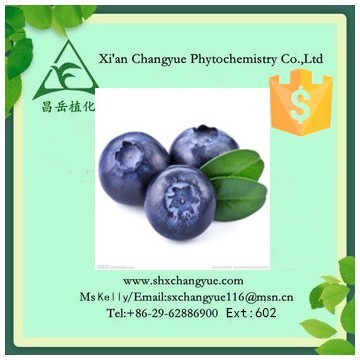 pure natural blueberry extract