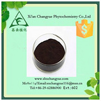 gold supplier bluberry extract