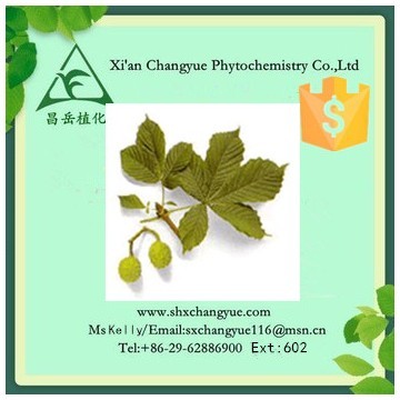 Top Quality Horse Chestnut Seed Extract 