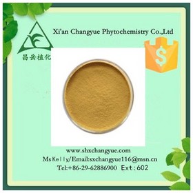 Hot Selling Horse Chestnut Extract 