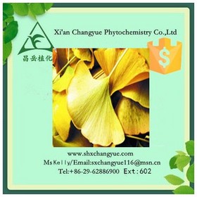 Pure Natural Ginkgo Biloba Extract 