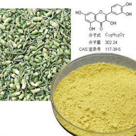 Quercetin Dihydrate