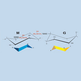 Propylene Glycol Alginate