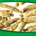 Ginseng Root Extract